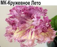 МК-Кружевное Лето