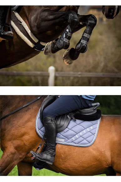 CEEFIT+CEEFIT Pulse Набор для оценки физиологической эффективности лошади