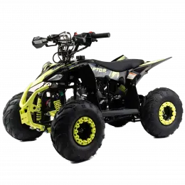 Racer Raptor 110