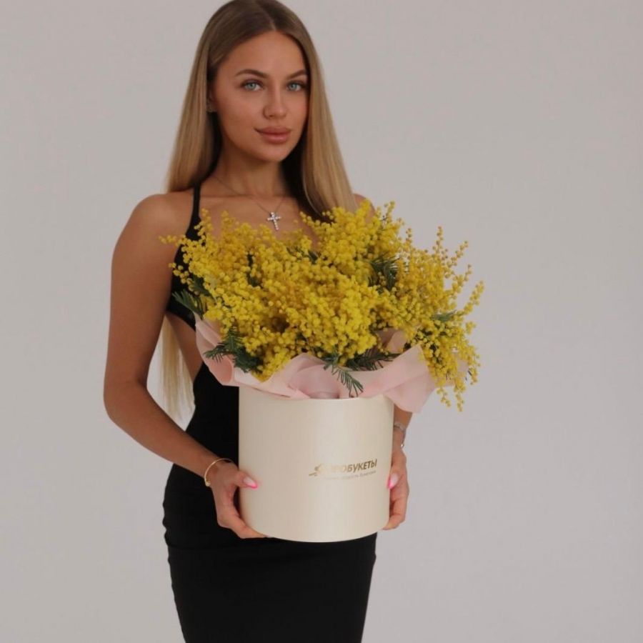 Мимоза в шляпной коробке