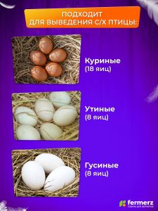 Инкубатор EW-18H автоматический для яиц с овоскопом