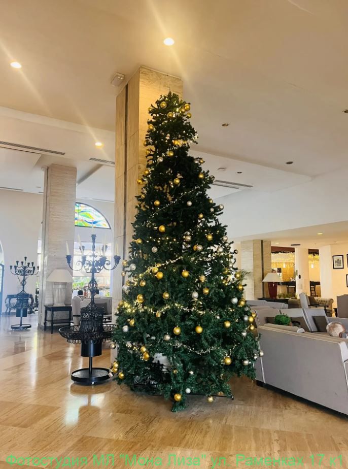 Отель, номер и территория отеля Лас Америкас