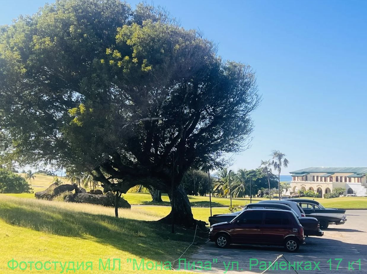 Гольф и историческое здание