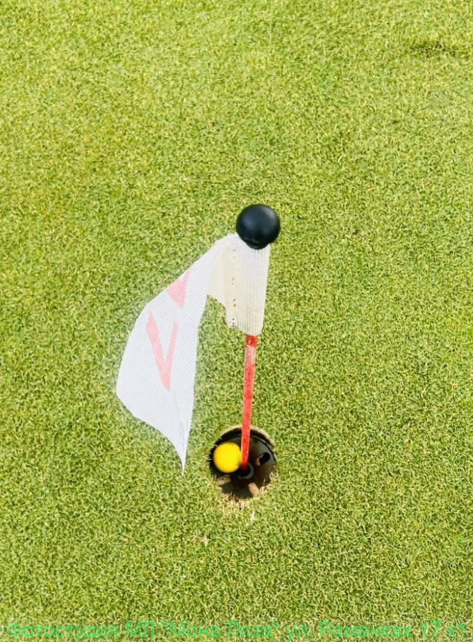 Гольф и историческое здание