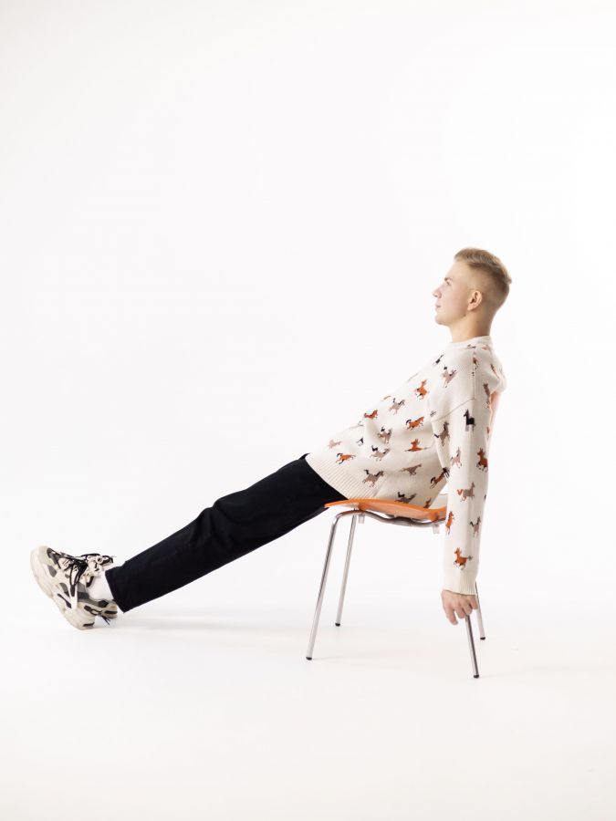 Свитер с лошадками