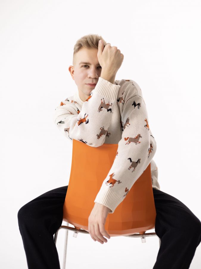 Свитер с лошадками