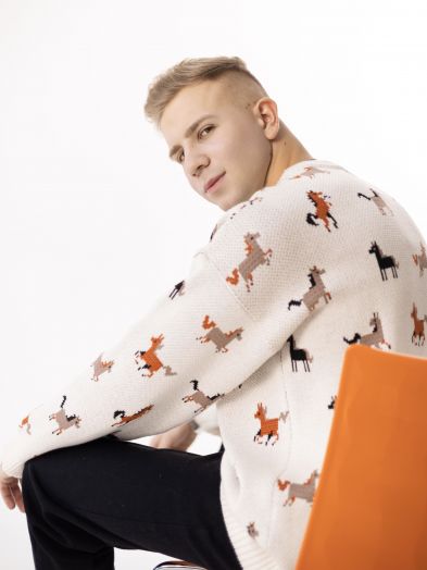 Свитер с лошадками