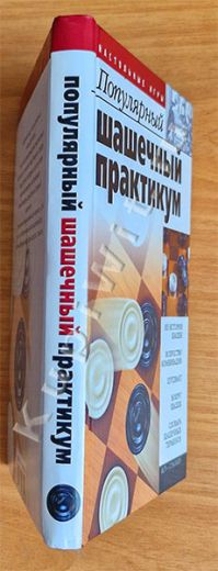Популярная игра шашки