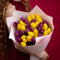 Желтые и фиолетовые тюльпаны 35 штук