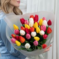 Тюльпаны в упаковке микс