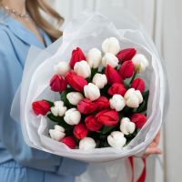 Красные и белые тюльпаны в упаковке (от 15 шт)