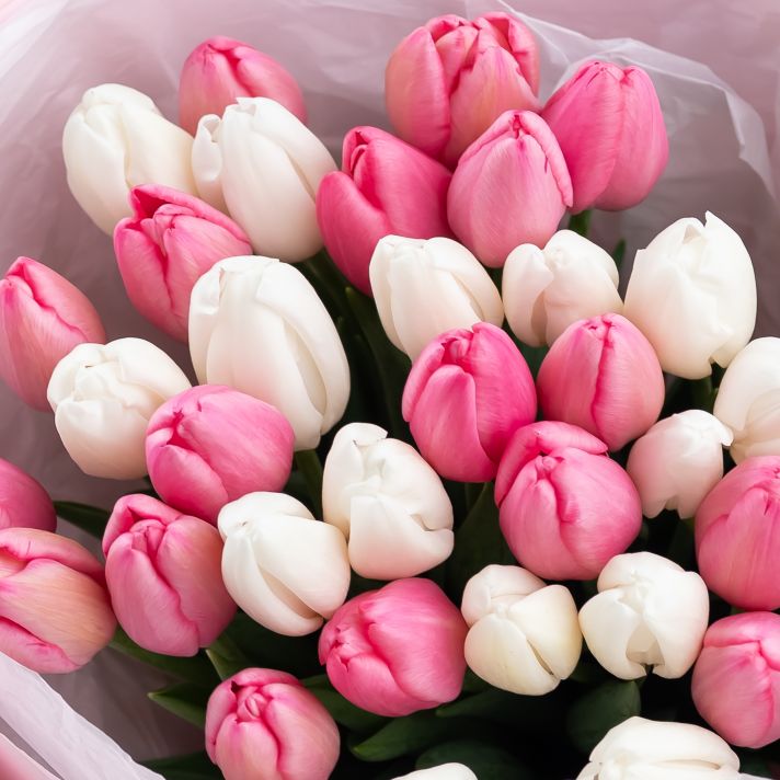 Тюльпаны бело - розовые от 11 шт