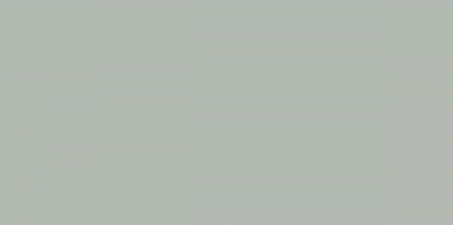 REED GREEN 60x120 5мм MATT