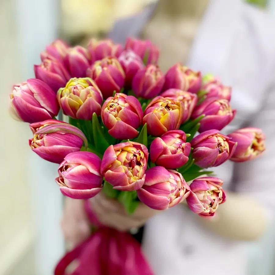 15 пионовидных тюльпанов Колумбус