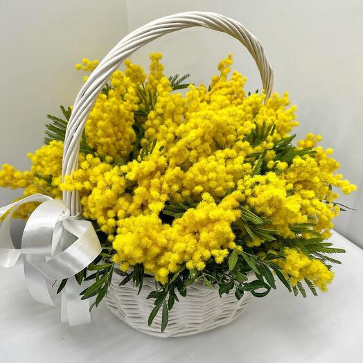 Корзина с мимозой