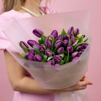 Тюльпаны фиолетовые в упаковке (от 15 шт)