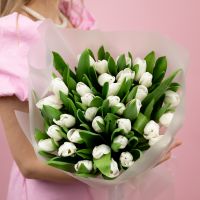 Тюльпаны белые 35шт в упаковке