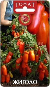 Томат Жиголо Биотехника