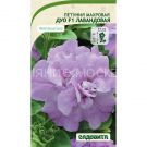 Petuniya-Duo-F1-Lavandovaya-mahrovaya-5dr-PanAmerican-Sadovita