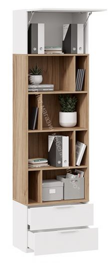 Шкаф комбинированный (366) «Порто» Исп.2 - ТД-393.07.20 Исп.2 Белый Жемчуг, Яблоня Беллуно, Белый софт