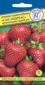 Земляника Сан Андреас (Престиж)