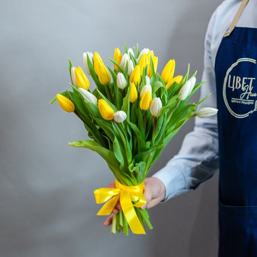 Бело-желтые тюльпаны под ленту