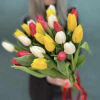 Микс тюльпаны