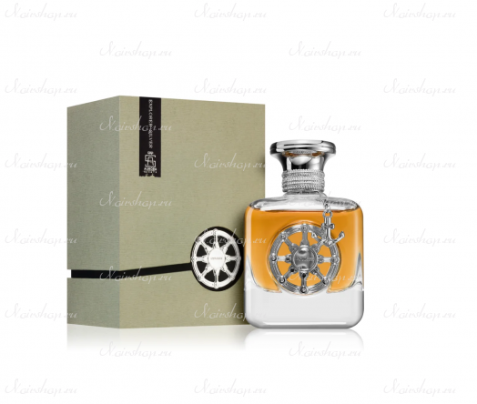 Aurora Explorer Silver