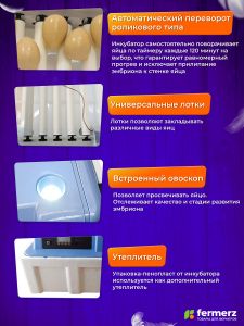 Инкубатор на 12 куриных яиц, с резервным питанием, автоматическим переворотом