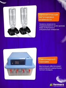 Инкубатор на 12 куриных яиц, с резервным питанием, автоматическим переворотом