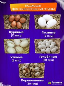 Инкубатор на 12 куриных яиц, с резервным питанием, автоматическим переворотом