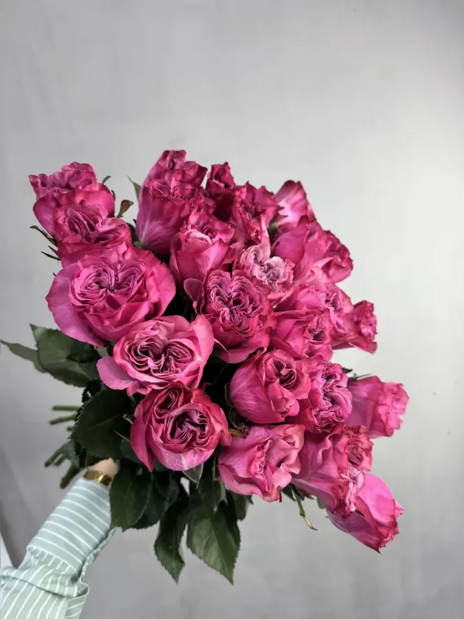 Роза Кантри