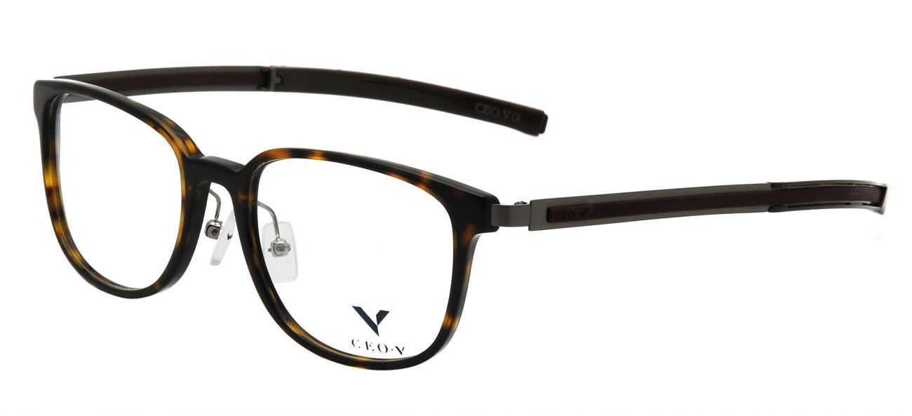 CEO-V CV 684 DEM