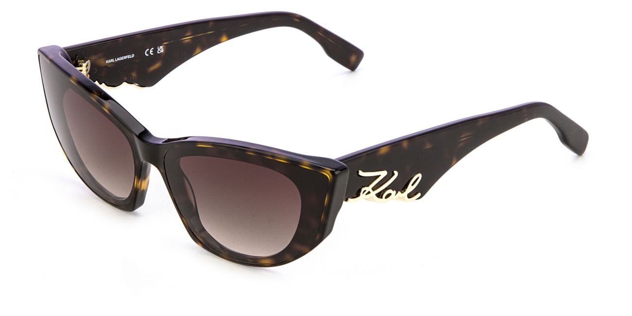 Karl Lagerfeld KL 6162S 242