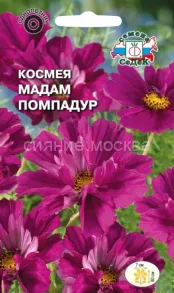 Космея Мадам Помпадур, 0,04 г (СеДеК)