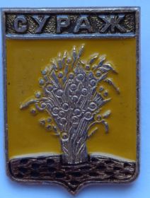 Значок герб Сураж СССР