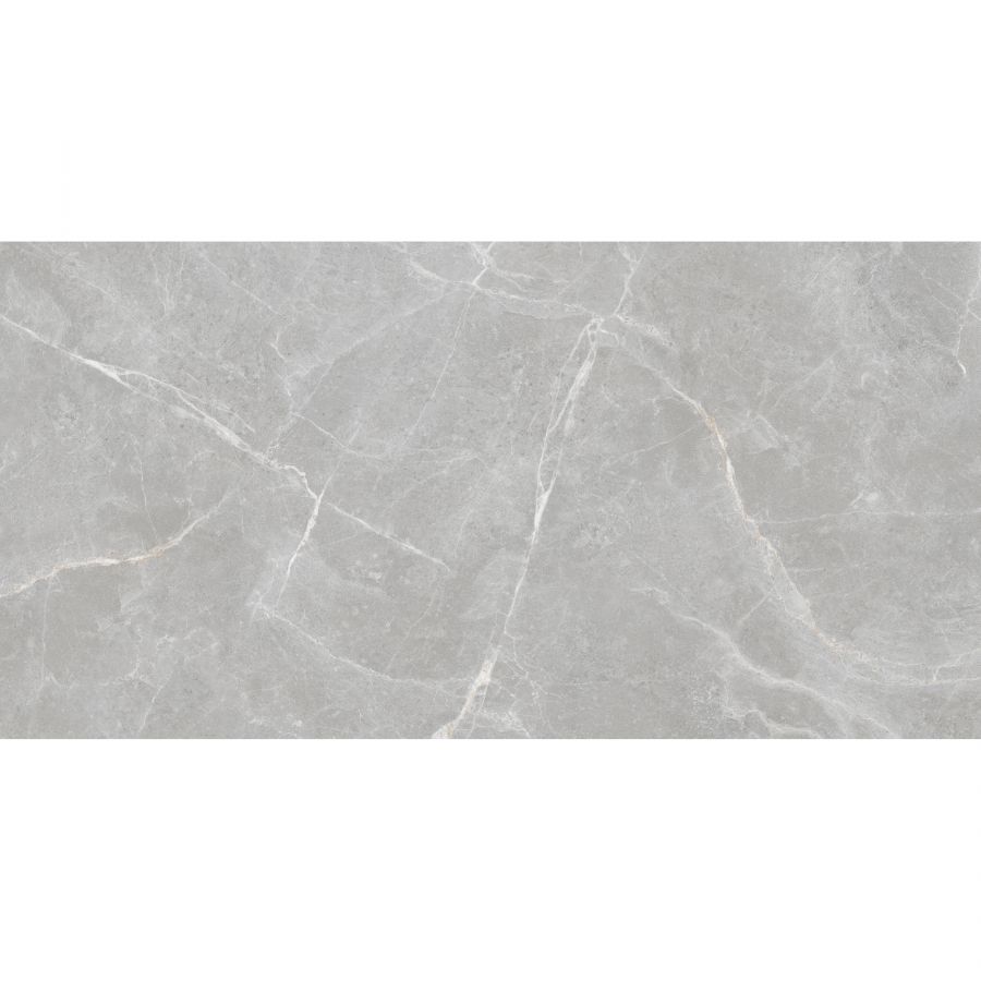 Patricia Grey 60x120 Matt