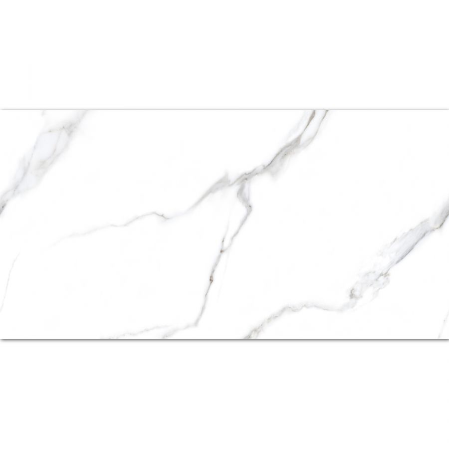 Statuario Carvino 60x120 Matt