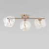 Потолочный светильник со стеклянными плафонами TK Lighting 11105 / потолочный светильник / Lava Sabia