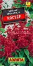 Salviya-Koster-Ajelita