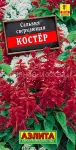 Salviya-Koster-Ajelita