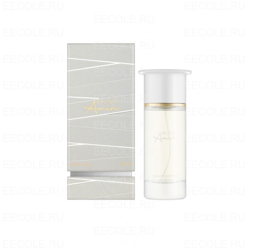 Ahmed Al Maghribi Musk Amiri