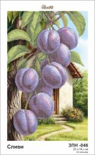 ЗПН-046 Золотая Подкова. Сливы