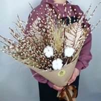 101 верба с хлопком