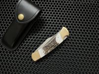 Нож Buck 110 Genuine Stag Folding Hunter
