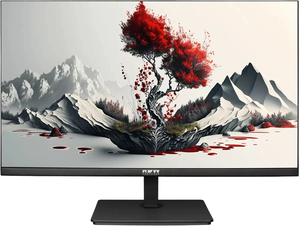 Монитор RDW Computers RDW2401K 23.8" LED IPS чёрный, 2401K/F00B0100V2A1H