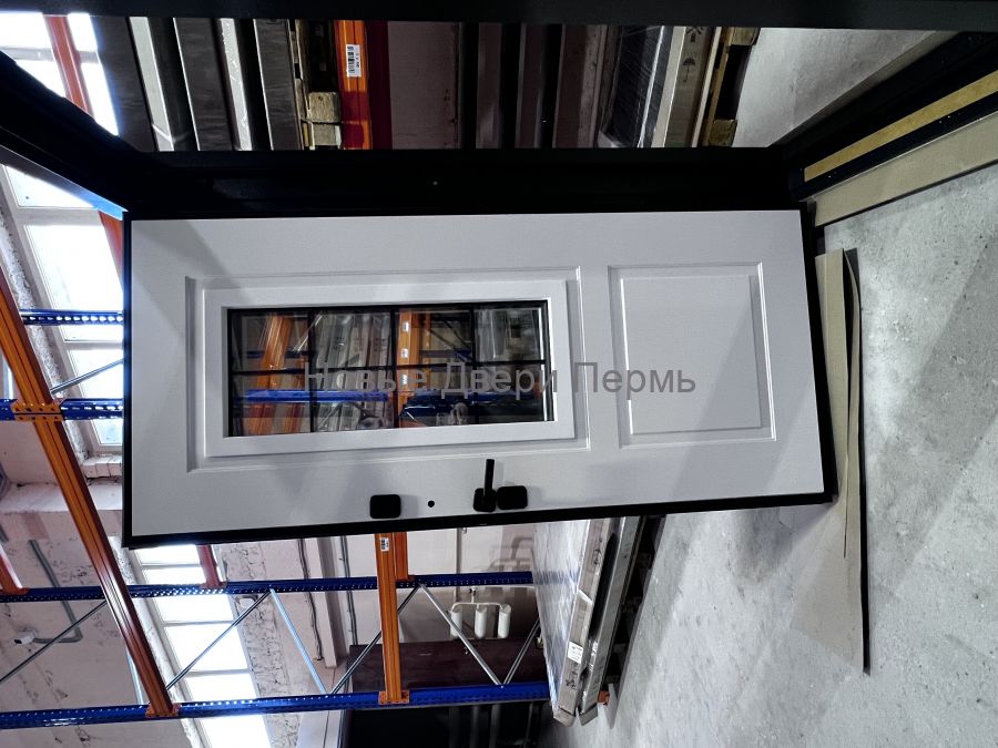 Уличная дверь Термо со стеклопакетом Винтер Панорама