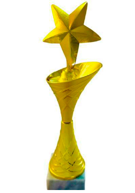 Кубок Звезда (34 см)