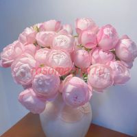 Стробери Макарон (Strawberry Macaron)