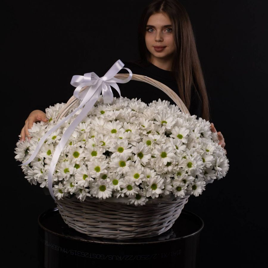 Хризантема "Ромашка" в корзине (от 11 шт)